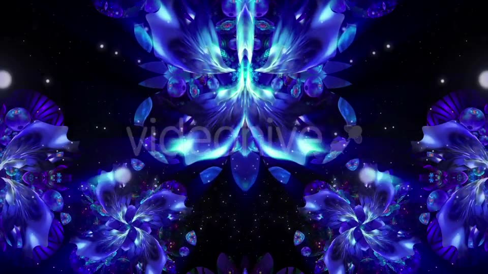 Blue Flower Videohive 21370348 Motion Graphics Image 2