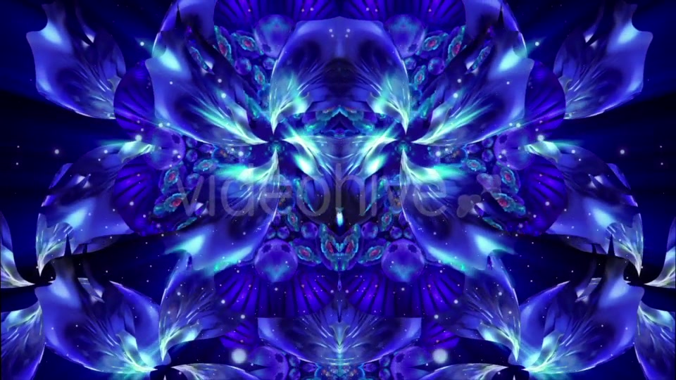 Blue Flower Videohive 21370348 Motion Graphics Image 3