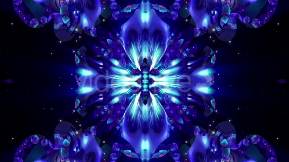 Blue Flower Videohive 21370348 Motion Graphics Image 5