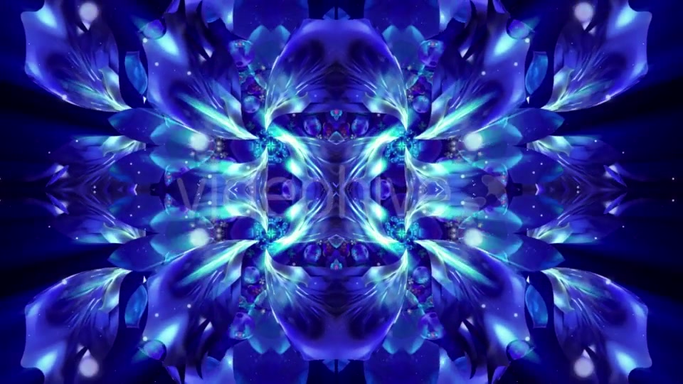 Blue Flower Videohive 21370348 Motion Graphics Image 7