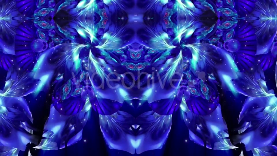 Blue Flower Videohive 21370348 Motion Graphics Image 8