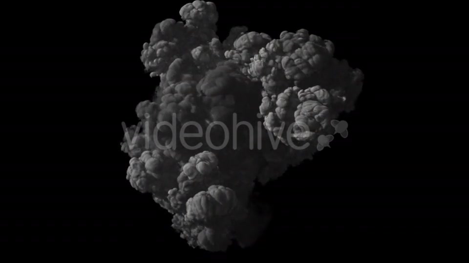 Bomb Explosion Videohive 19462495 Motion Graphics Image 5