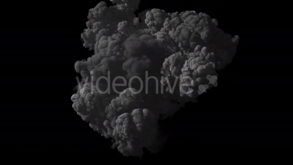 Bomb Explosion Videohive 19462495 Motion Graphics Image 6