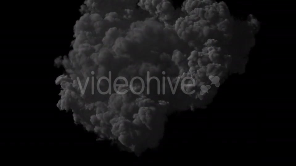 Bomb Explosion Videohive 19462495 Motion Graphics Image 8