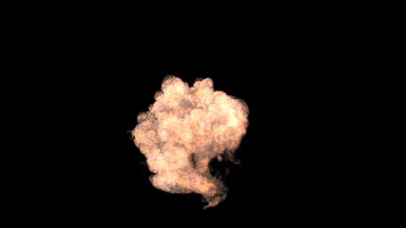 Bomb Explosion - Videohive Download 19462495