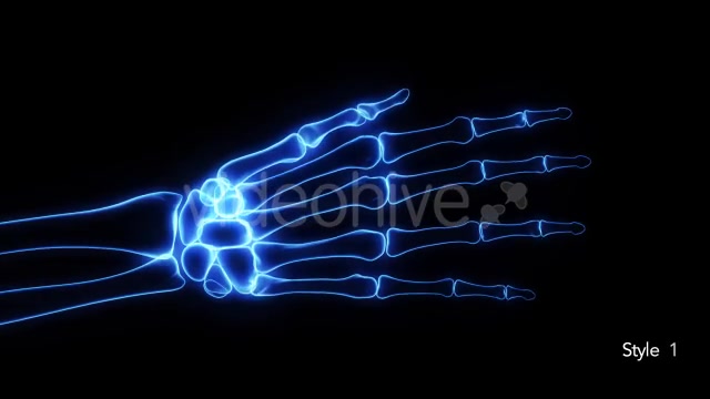 Bones X Ray of Human Hand Videohive 11445646 Motion Graphics Image 3