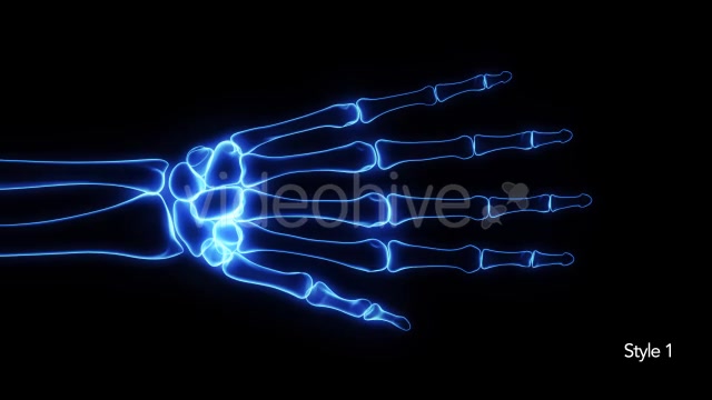 Bones X Ray of Human Hand Videohive 11445646 Motion Graphics Image 5