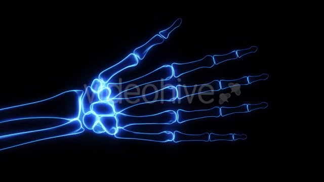 Bones X Ray of Human Hand Videohive 11445646 Motion Graphics Image 7