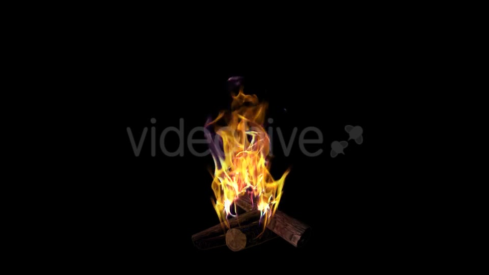 Bonfire Videohive 18701755 Motion Graphics Image 3