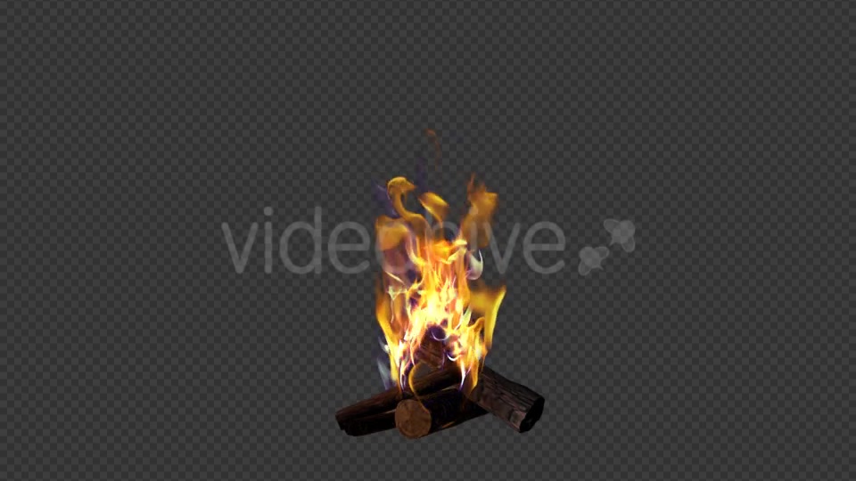 Bonfire Videohive 18701755 Motion Graphics Image 4