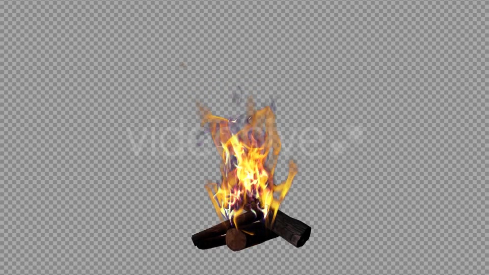 Bonfire Videohive 18701755 Motion Graphics Image 6