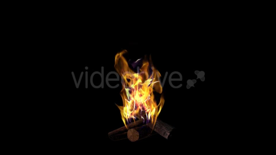 Bonfire Videohive 18701755 Motion Graphics Image 7