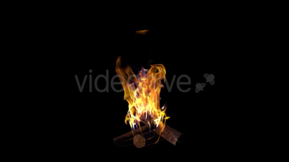Bonfire Videohive 18701755 Motion Graphics Image 8