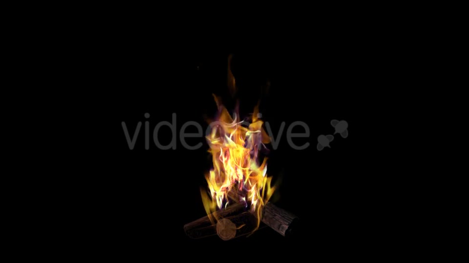 Bonfire Videohive 18701755 Motion Graphics Image 9