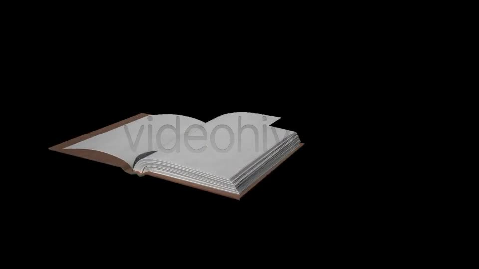 Book Old Videohive 8118539 Motion Graphics Image 1