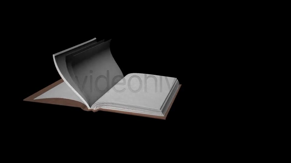 Book Old Videohive 8118539 Motion Graphics Image 2