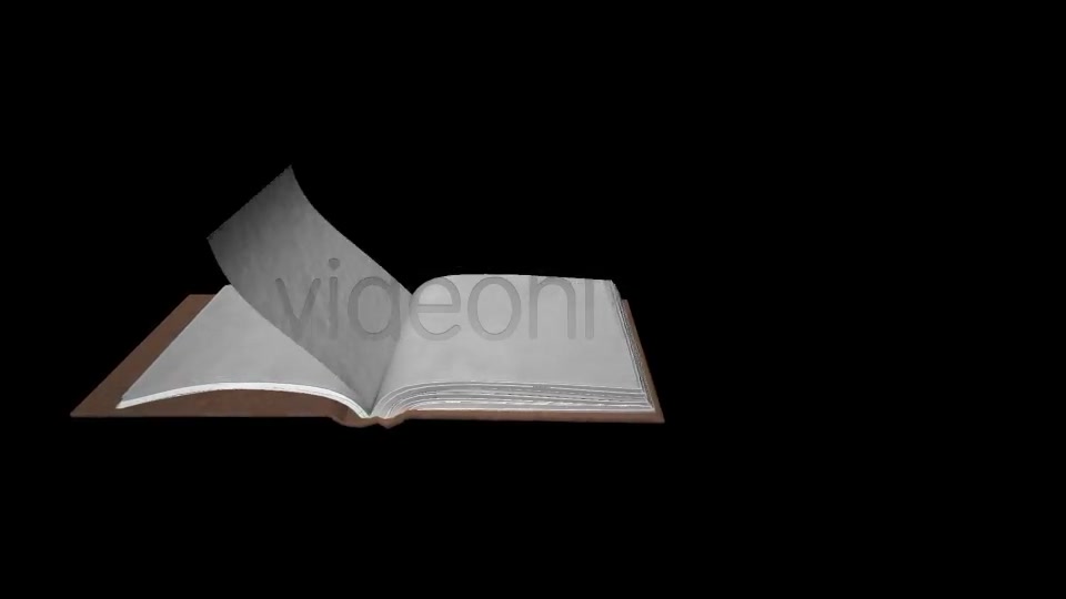 Book Old Videohive 8118539 Motion Graphics Image 3