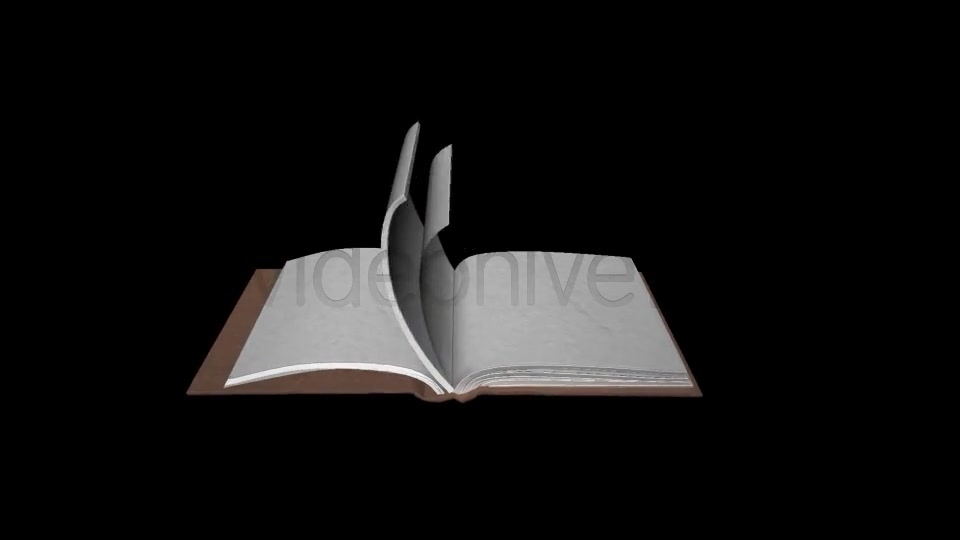 Book Old Videohive 8118539 Motion Graphics Image 4
