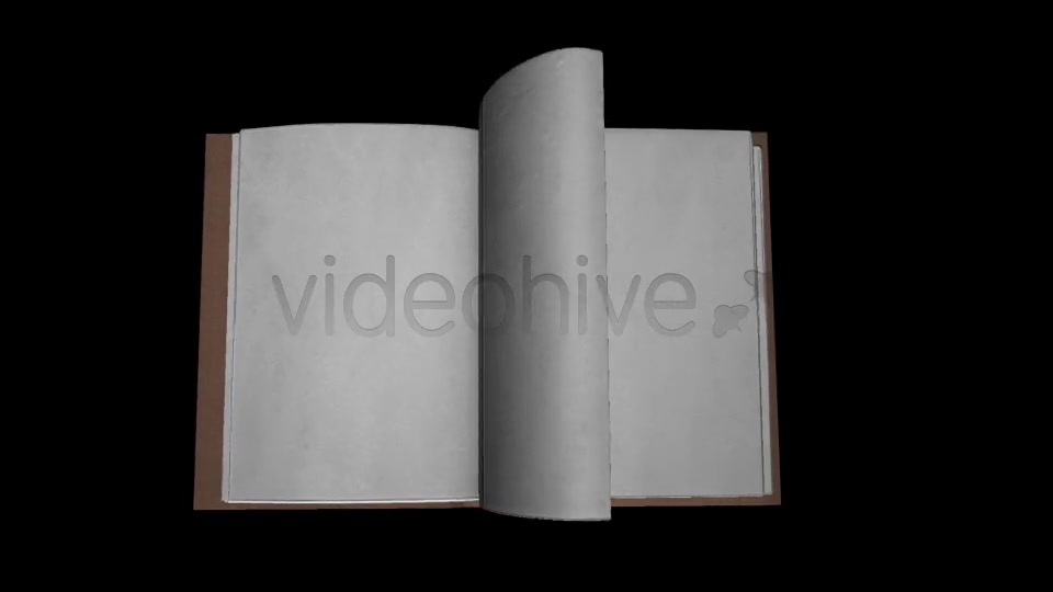 Book Old Videohive 8118539 Motion Graphics Image 8