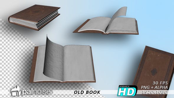 Book Old - 8118539 Videohive Download