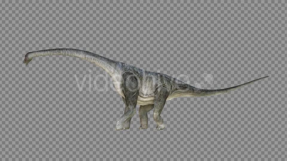 Brachiosaurus 1 Realistic Videohive 21271476 Motion Graphics Image 1