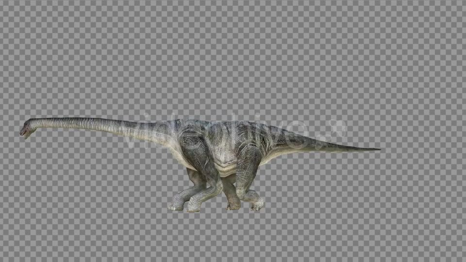 Brachiosaurus 1 Realistic Videohive 21271476 Motion Graphics Image 2