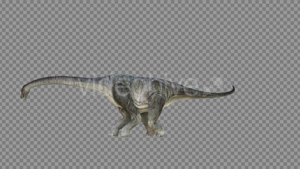 Brachiosaurus 1 Realistic Videohive 21271476 Motion Graphics Image 3