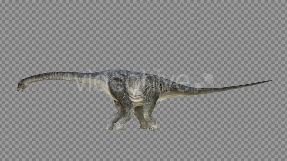 Brachiosaurus 1 Realistic Videohive 21271476 Motion Graphics Image 4