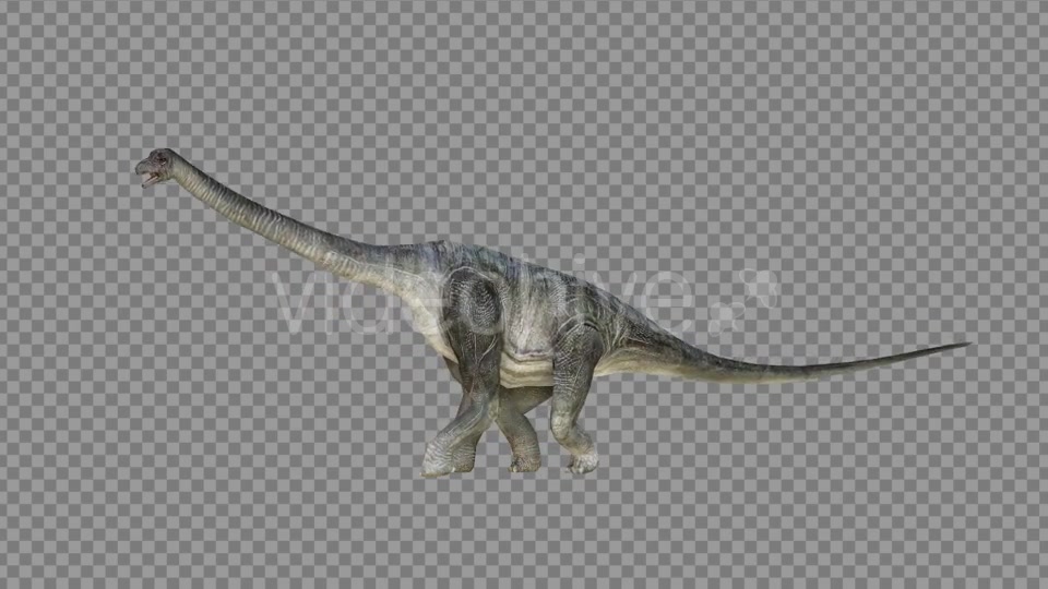 Brachiosaurus 1 Realistic Videohive 21271476 Motion Graphics Image 5