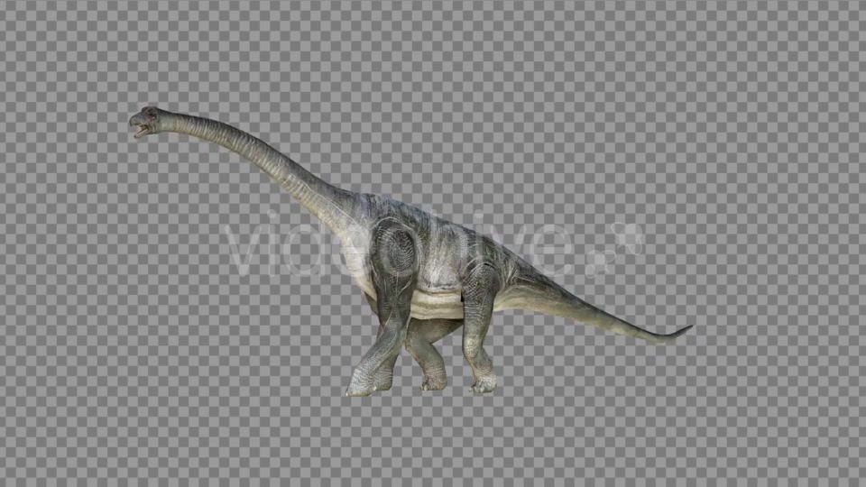 Brachiosaurus 1 Realistic Videohive 21271476 Motion Graphics Image 6