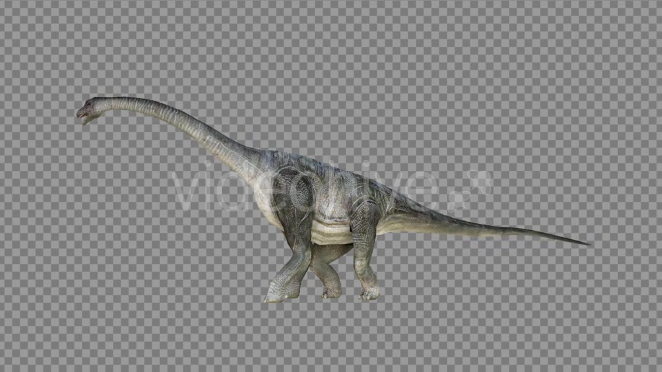 Brachiosaurus 1 Realistic Videohive 21271476 Motion Graphics Image 7