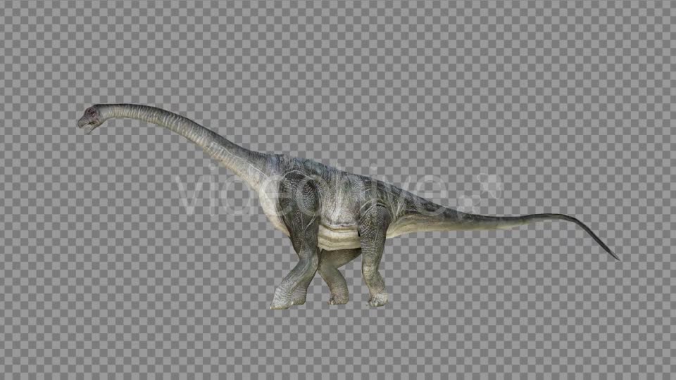 Brachiosaurus 1 Realistic Videohive 21271476 Motion Graphics Image 8