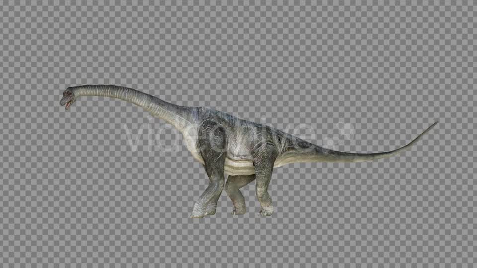 Brachiosaurus 1 Realistic Videohive 21271476 Motion Graphics Image 9