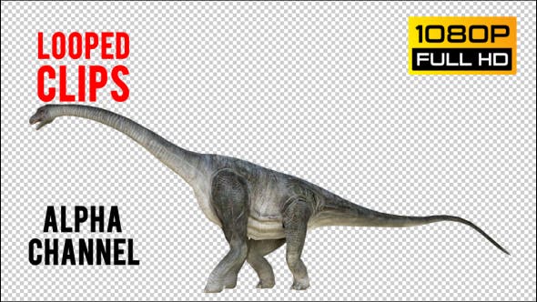 Brachiosaurus 1 Realistic - Videohive 21271476 Download