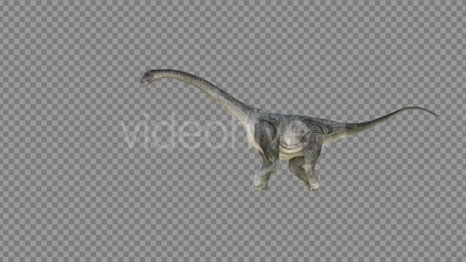 Brachiosaurus 2 Realistic Videohive 21271503 Motion Graphics Image 1