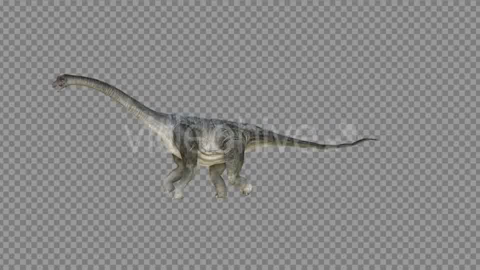 Brachiosaurus 2 Realistic Videohive 21271503 Motion Graphics Image 10