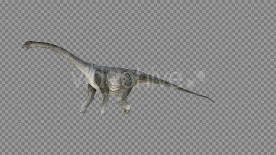 Brachiosaurus 2 Realistic Videohive 21271503 Motion Graphics Image 11