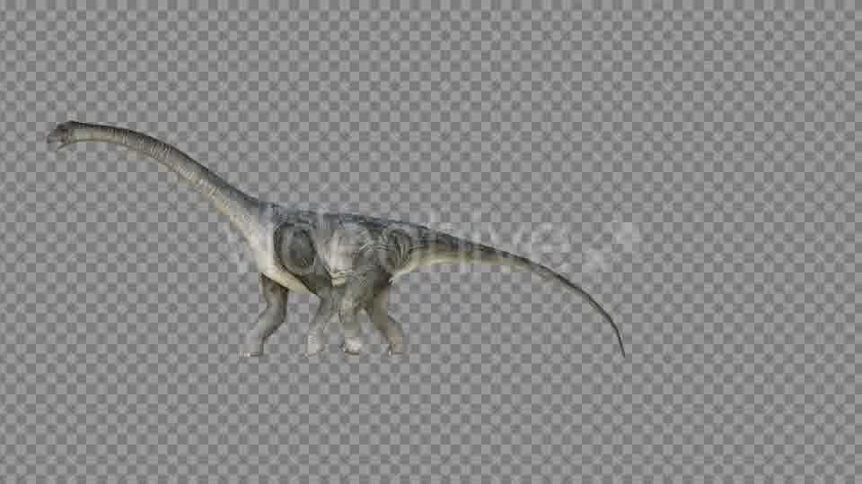 Brachiosaurus 2 Realistic Videohive 21271503 Motion Graphics Image 12