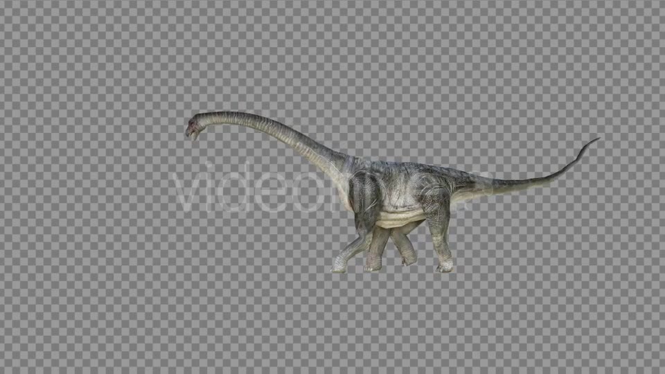 Brachiosaurus 2 Realistic Videohive 21271503 Motion Graphics Image 2