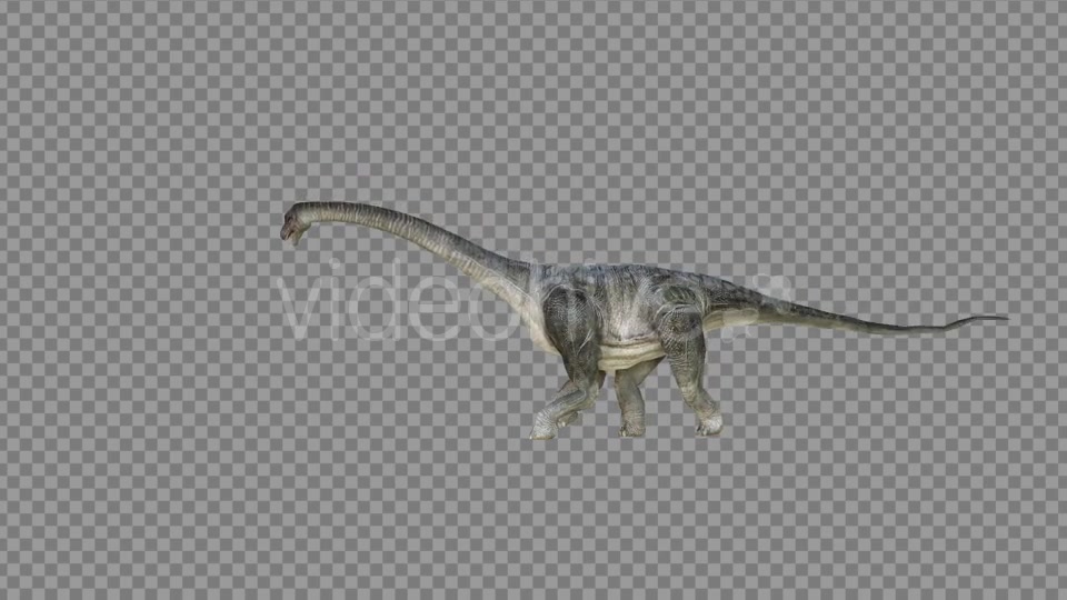 Brachiosaurus 2 Realistic Videohive 21271503 Motion Graphics Image 3