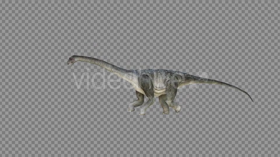 Brachiosaurus 2 Realistic Videohive 21271503 Motion Graphics Image 4