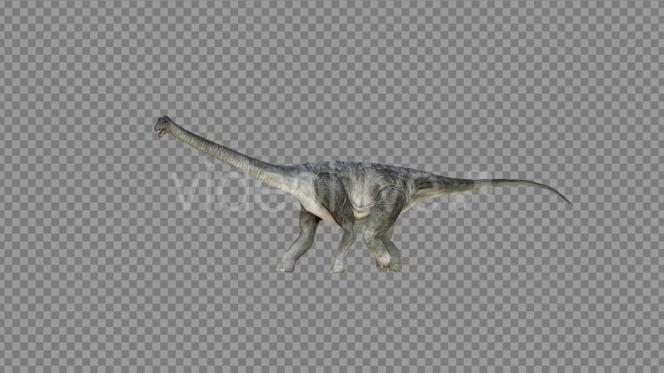 Brachiosaurus 2 Realistic Videohive 21271503 Motion Graphics Image 5