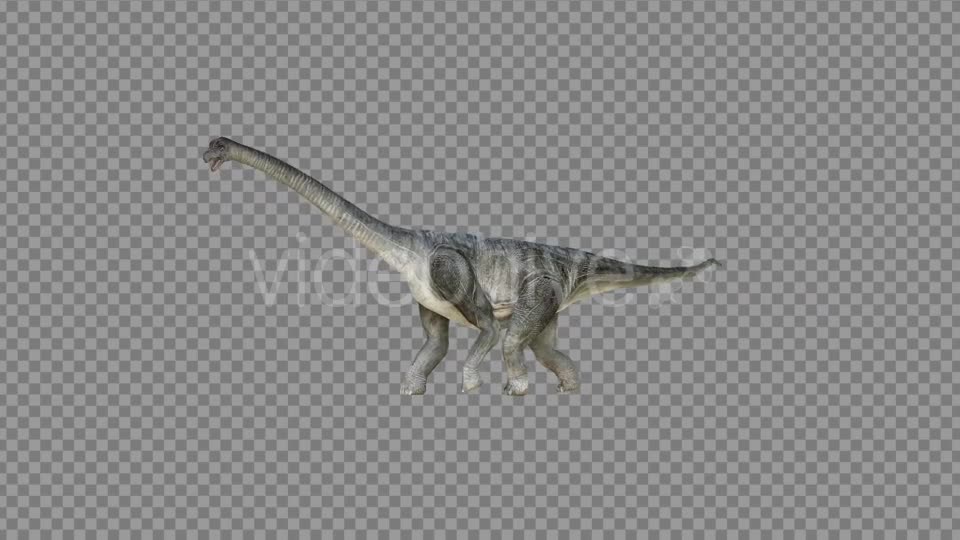 Brachiosaurus 2 Realistic Videohive 21271503 Motion Graphics Image 6