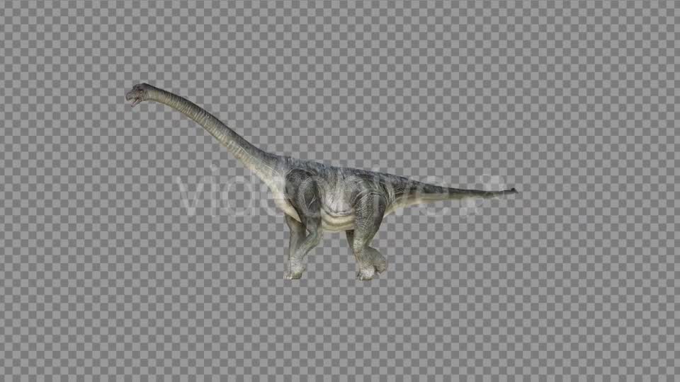 Brachiosaurus 2 Realistic Videohive 21271503 Motion Graphics Image 7