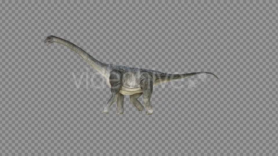 Brachiosaurus 2 Realistic Videohive 21271503 Motion Graphics Image 8
