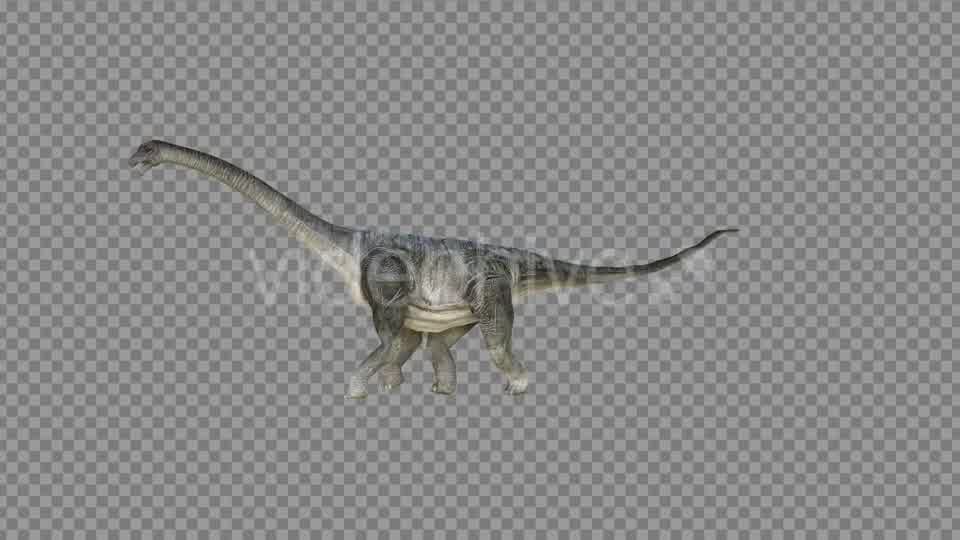 Brachiosaurus 2 Realistic Videohive 21271503 Motion Graphics Image 9