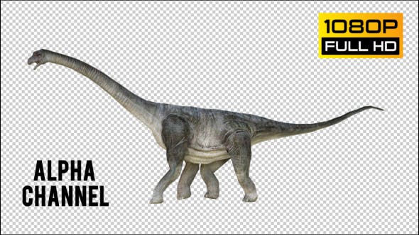 Brachiosaurus 2 Realistic - Download Videohive 21271503