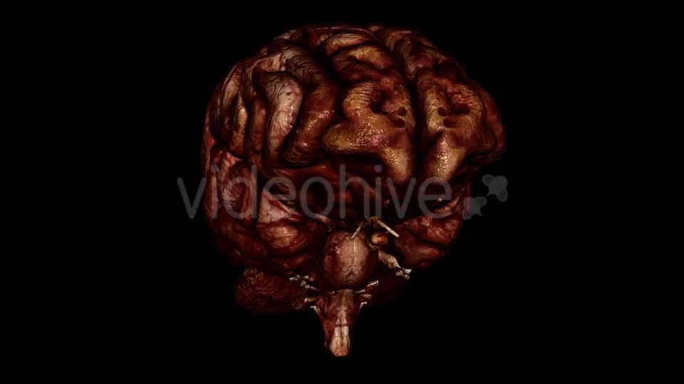 Brain Bloody Videohive 10640676 Motion Graphics Image 1