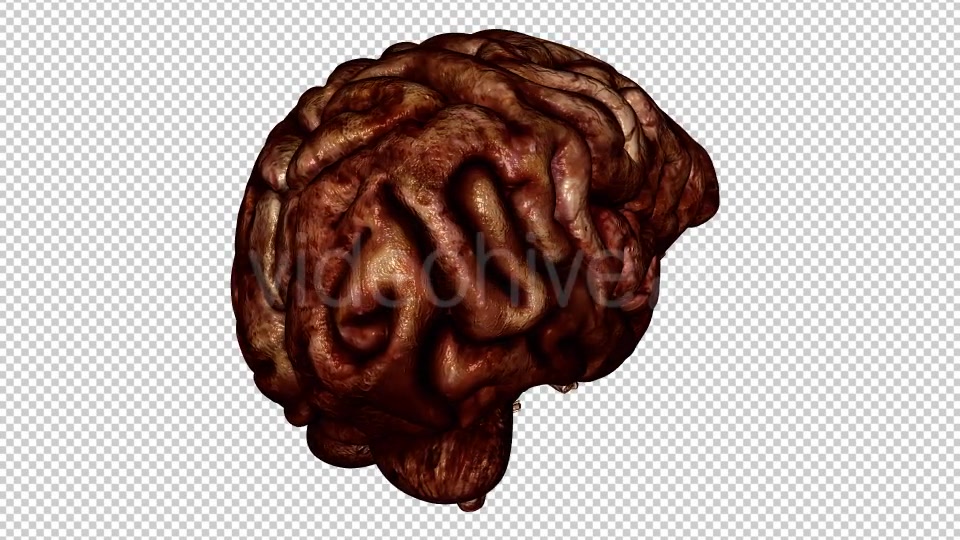 Brain Bloody Videohive 10640676 Motion Graphics Image 4