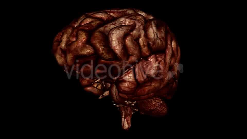 Brain Bloody Videohive 10640676 Motion Graphics Image 9